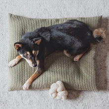 Load image into Gallery viewer, Modern home decor and luxury dog toys from Hogan Parker. The formable play object, a creative and durable dog chew toy in cream corduroy. 
