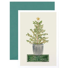 Load image into Gallery viewer, FRASER FIR HOLIDAY - MULTIPLE STYLES
