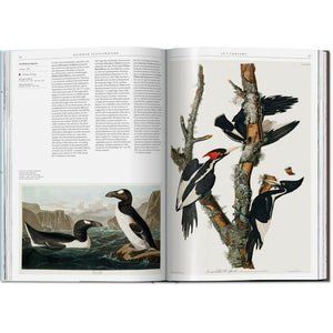 Science Illustration. Luxury coffee table books on science and nature from Hogan Parker. 