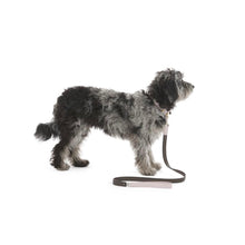 Load image into Gallery viewer, Mungo and Muad Bauhaus luxury leather dog collar in Rosebud and chocolate. Luxury dog products for the modern home from Hogan Parker
