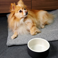 Load image into Gallery viewer, Award-Winning Cooling Water Bowl for Pets from Hogan Parker. Modern Luxury Dog and Pet Accessories. Ceramic technology. Black and white. 
