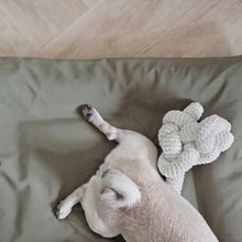 Load image into Gallery viewer, Modern home decor and luxury dog toys from Hogan Parker. The formable play object, a creative and durable dog chew toy in cream corduroy. 
