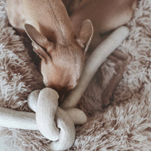 Load image into Gallery viewer, Modern home decor and luxury dog toys from Hogan Parker. The Formable Play Object dog chew toy in gray from Hogan Parker. 
