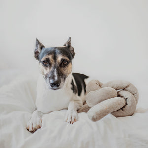 Modern home decor and luxury dog toys from Hogan Parker. The Formable Play Object dog chew toy in gray from Hogan Parker. 