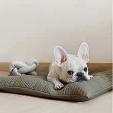 Load image into Gallery viewer, Modern home decor and luxury dog toys from Hogan Parker. The Formable Play Object dog chew toy in gray from Hogan Parker. 
