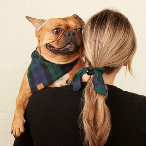 Luxury dog accessories from Hogan Parker. Flannel bandana in black watch plaid. Holiday dog products. 