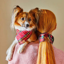 Load image into Gallery viewer, Luxury dog accessories from Hogan Parker. Flannel tartan bandana. Holiday dog products. 
