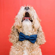 Load image into Gallery viewer, Luxury dog accessories from Hogan Parker. Classic navy blue bow tie. 
