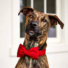 Load image into Gallery viewer, Luxury dog accessories from Hogan Parker. Flannel bow tie in red Aberdeen plaid. Winter holiday dog accessories. 
