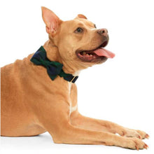 Load image into Gallery viewer, Modern Luxury Dog Apparel and Products from Hogan Parker. Dapper dog bow tie in blue green black watch plaid. 
