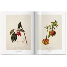 Load image into Gallery viewer, GARDEN EDEN: MASTERPIECES OF BOTANICAL ILLUSTRATION
