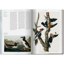 Load image into Gallery viewer, Science Illustration. Luxury coffee table books on science and nature from Hogan Parker. 
